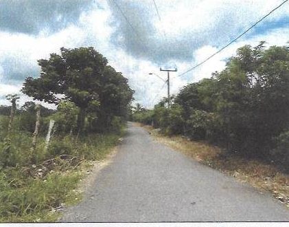 CUADRO DE COTIZACIÓN 005-2026 IBI